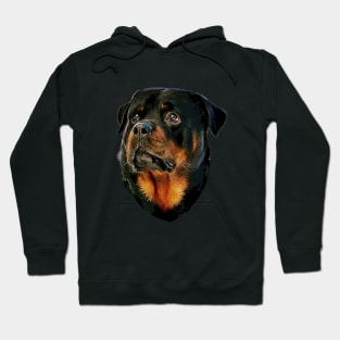 Rottweiler Dog Hoodie